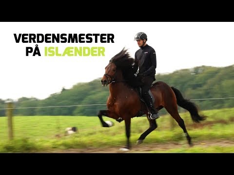 Video: Hvor skal man ride på hesteryg i Island