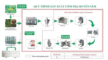 🏭 QUY TRÌNH SẢN XUẤT CỐM PQA HUYỀN SÂM — CHUẨN GMP-WHO