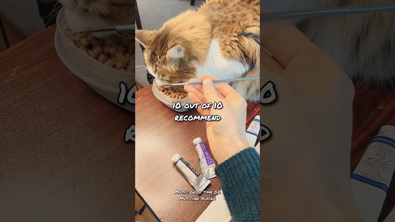 Best paintbrush for whiskers and stray hairs? 😁😜 arttips paintingtips arthack YouTube