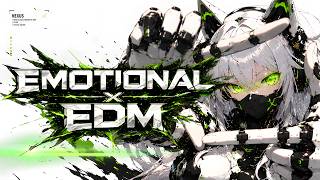 【Playlist】EMOTIONAL × EDM BANGER Vol.2| 誰もいないネオンの世界｜重低音・没入系BGM