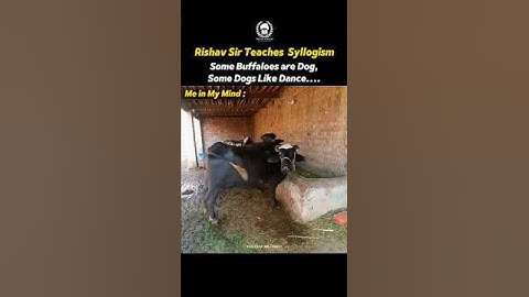 Syllogism Questions are Different 😂😂 Kya Aap Bhi Aisa Sochte Ho ?👇🏻 #cuet2025 #reasoning