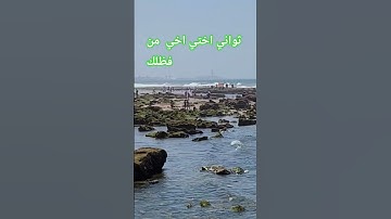 القرآن الكريم #اكسبلور #المصحف #قرآن #قران_كريم #natur#んＳつ