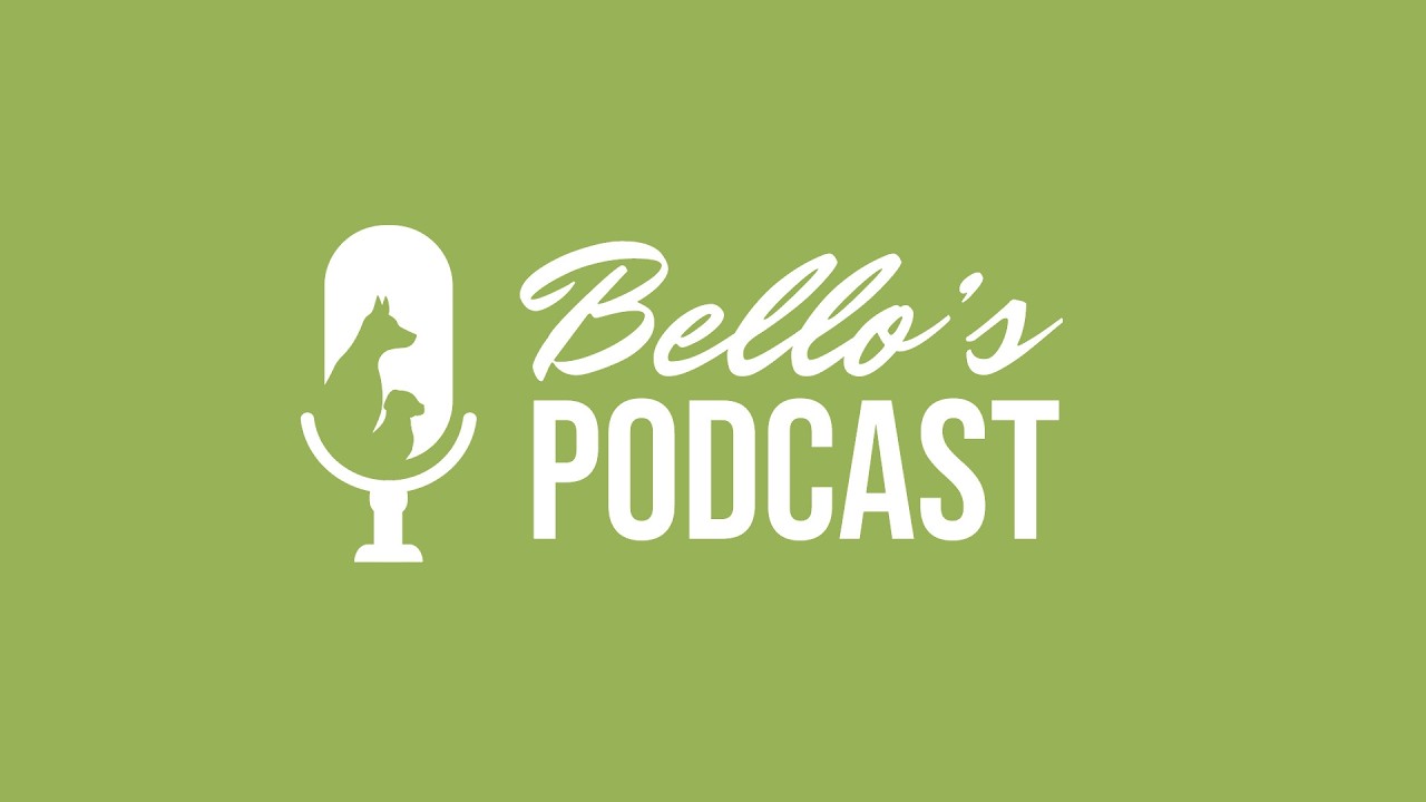 Waarom puppy’s bijten, knagen & graven – tips van Edgar van de Kamp | Bello’s Podcast