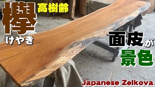 高樹齢ケヤキ】ケヤキ一枚板×オイル仕上げ【木の店さんもく】How To