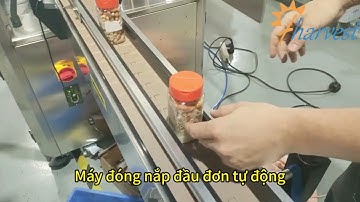 Máy Đóng Nắp Chai Servo, Máy Đóng Nắp Tự Động