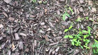 IMG 5384