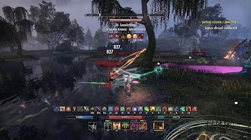 Eso Bash stupid plar lololol