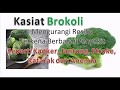 Mengobati Kanker dengan Brokoli Mengobati Kanker dengan Brokoli