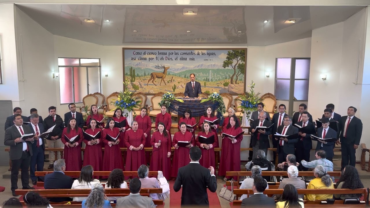 Coro IEP San Pedro de la Paz - Mi esperanza está el Jesús