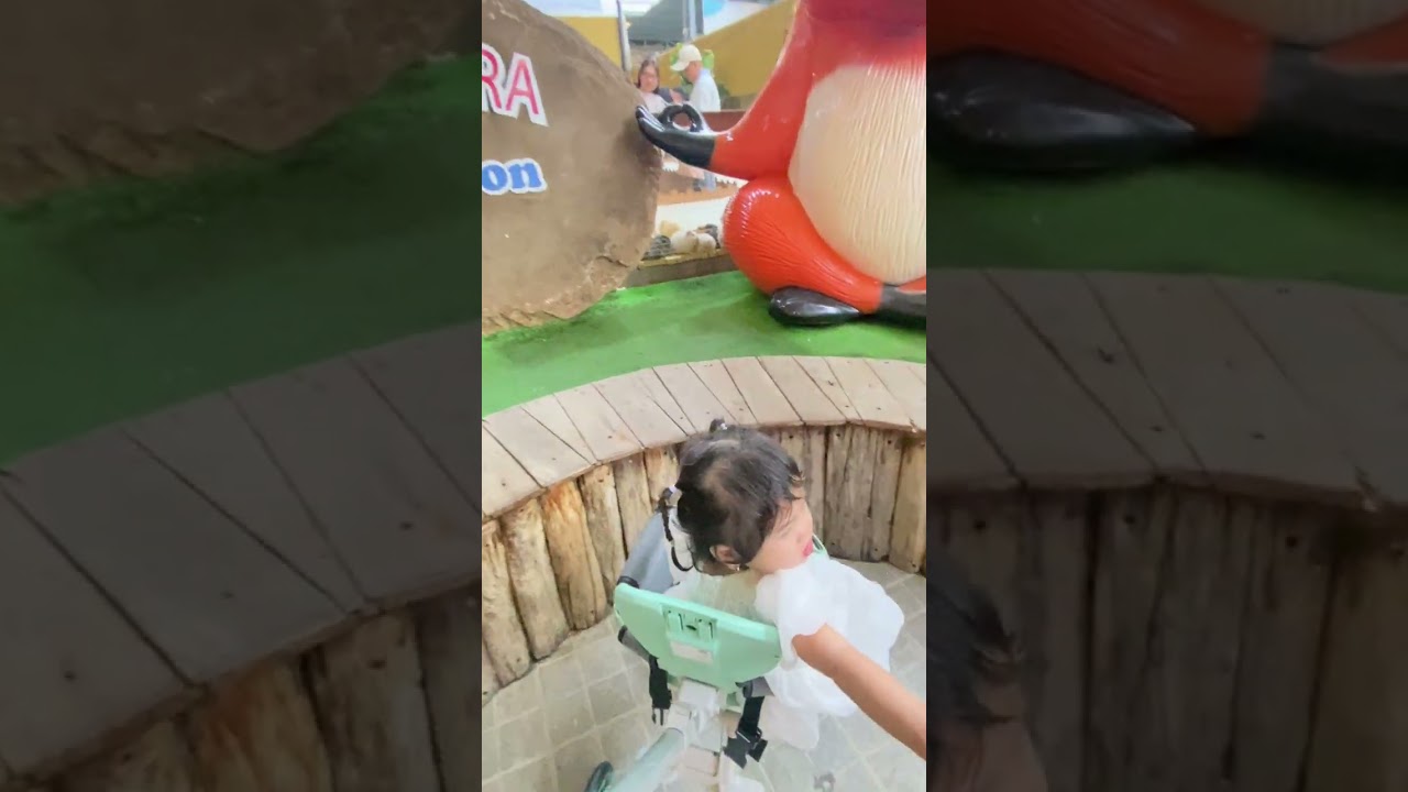 putin - xem chó và bọ ….