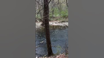 اسمع وأرتق للسماء 🤎🤎🤎 ما تيسر من سورة المائدة للقارئ اسلام صبحي @islam_sobhi #explore #nature #