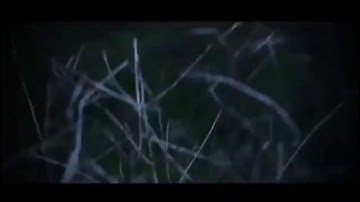 DS Creations Intro Maker😎