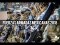 Fuerzas Armadas Mexicanas 2018