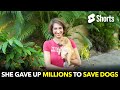 She Gave Up  Millions To Save Dogs