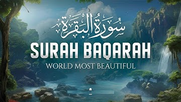 Surah Al Baqarah Full سورة البقره | Relaxing Calming & Heart Touching Quran