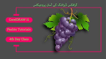What is Graphic Designing | Corel DRAW 11 | 4th Day class in Pashto | Manzoor Mohmand