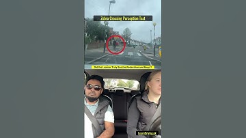 Zebra Crossing Perception Test: Did the Learner React to the Pedestrian?#ZebraCrossing #ReactionTest