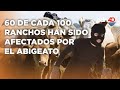 Abigeato el delito de robo de ganado y animales domésticos 60 de cada 100 ranchos han sido afectados