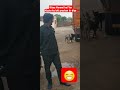 kuuto ko bhi preshan kr diya. #shortsfeed #shortvideo #shorts