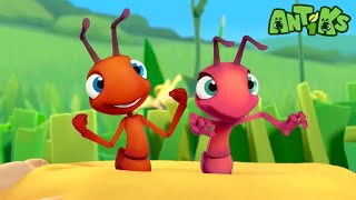 Download Lagu Oddbods Presentano: Antiks | UNA PERA DI PERDENTI | Cartoni Animati per Bambini MP3