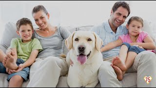 Find Out How Coit Got To Where It Is Today As The Best In The Business Commercial Coit