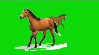 Green Screen Animation Horse No Copyright | Green Screen Horse Walking Running