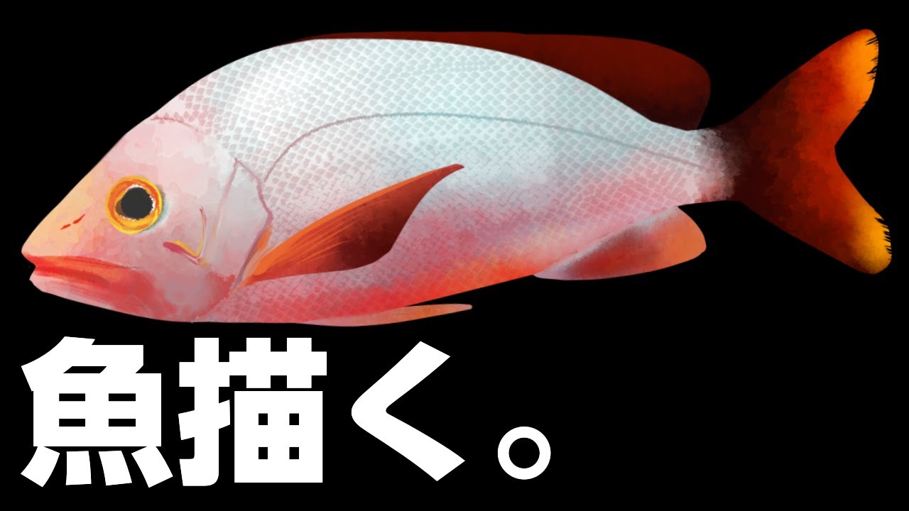 【お絵かき配信】さかなかく！意外と雌雄で違う顔！？今年の主役といえば…✨【Seafood Drawing】 