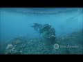 Dive Deep | Unveiling Titanic's Secrets!