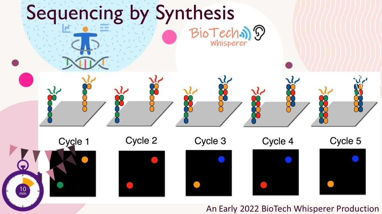An Overview of Sequencing By Synthesis in First and Next Generation ...