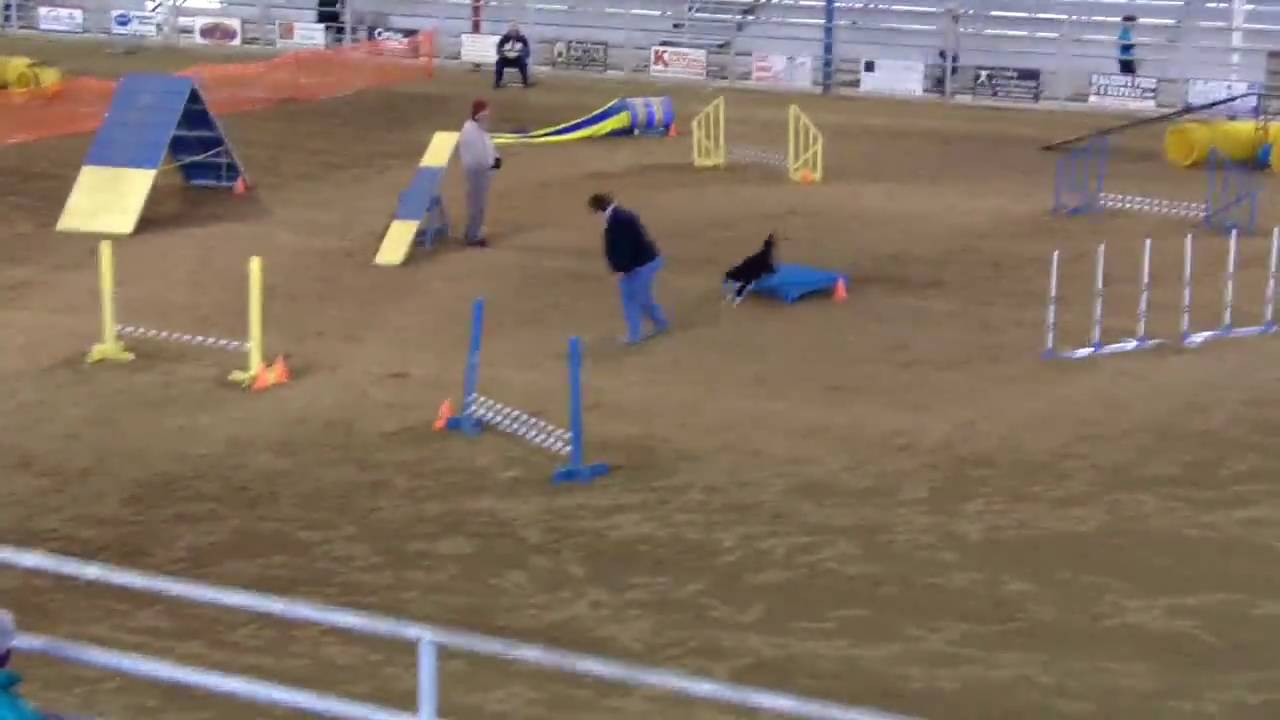 Lynn and Tucker Flashpaws Standard Runs