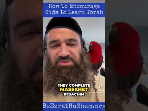 Festa da Torรก: Diversรฃo para Crianรงas com Papagaio