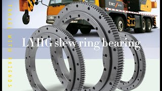 LYHG slew ring bearing