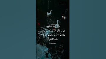 سورة هود آيه ٥٦#القرآن_الكريم #العراق #الجزائر #المغرب #تيك_توك #السعودية #مصر #لايك #اكسبلور #duet