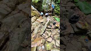 Picnic By The Fairy Stream picnic stream  mountain