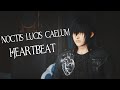 Noctis lucis caelum  heartbeat