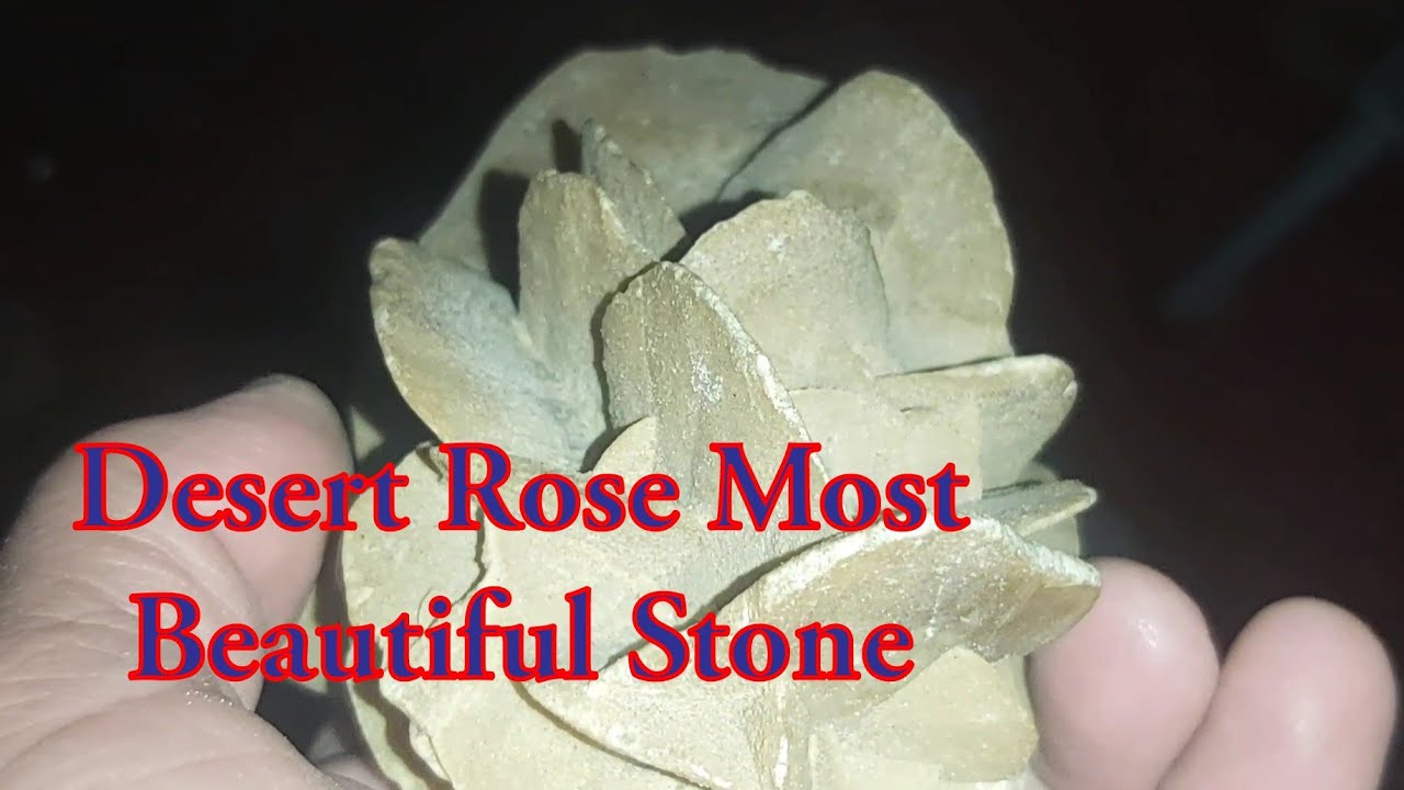Desert Rose | Desert Rose Calcium Phosphate Gypsum Stone
