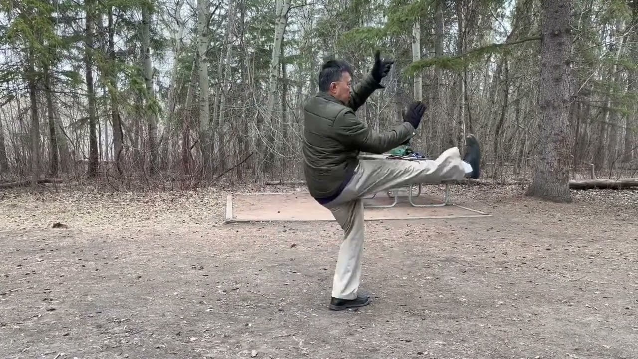Tung Family Tai Chi Fast Form