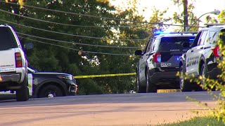 Roanoke mayor talks about new initiative to curb gun violence