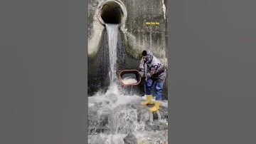 Cá Lớn - cá Rô Phi Khủng xuôi theo cống nước 😱 #khacthuyvlogg