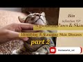 Skin infection 101|| Part 2|| Identifying & Managing Skin Diseases