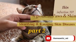 Skin infection 101|| Part 2|| Identifying & Managing Skin Diseases