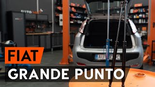 Hoe Gasdrukveer vervangen FIAT GRANDE PUNTO (199) - videogids