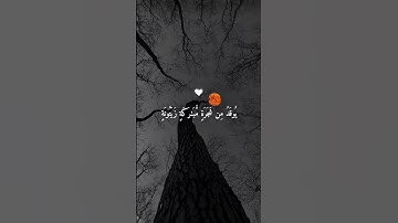 الله نور السموات والأرض القارئ ماهر المعيقلي🍂🎧 شاشه سوداء  القرآن الكريم