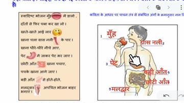 worksheet 13 B class 5