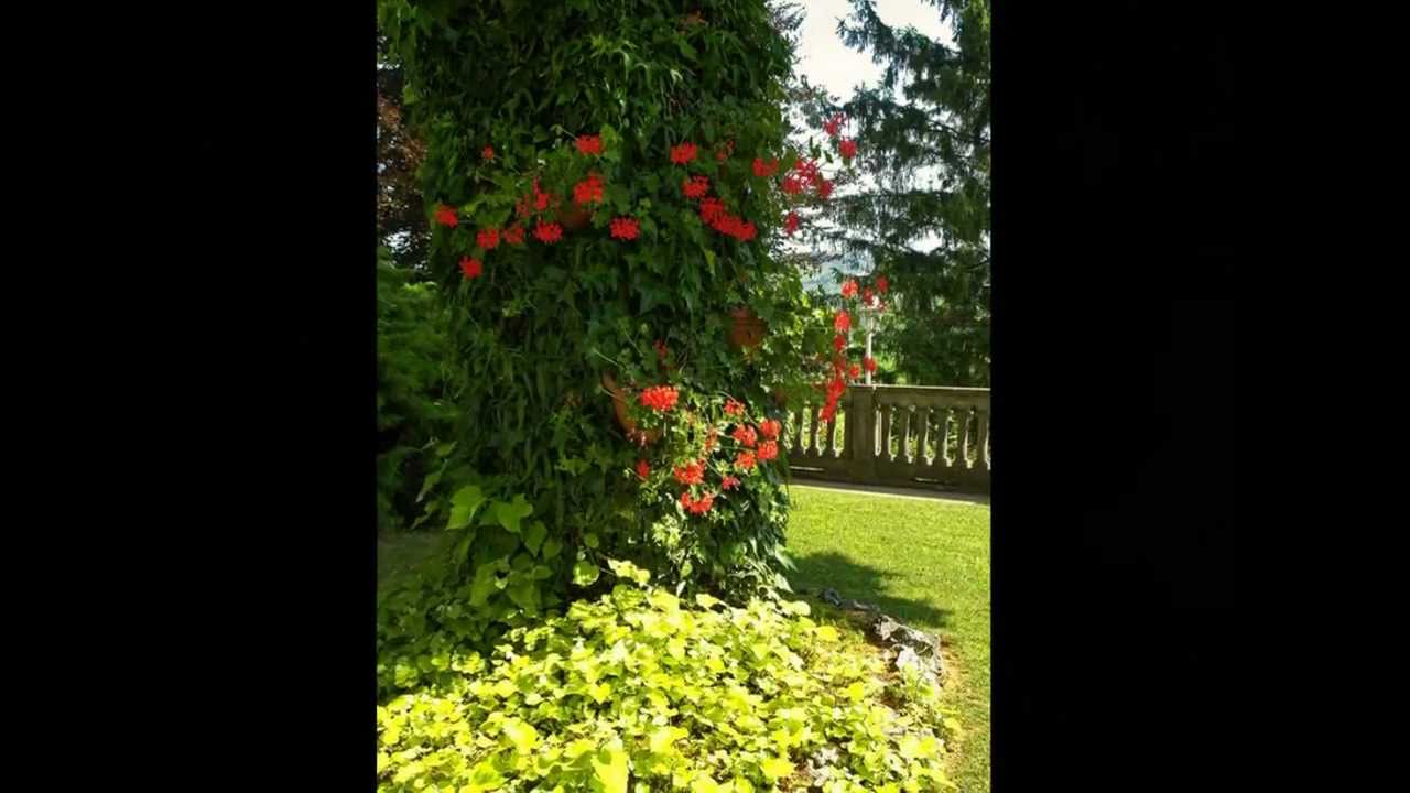 HOTEL - "VILLA CORNAREA" - Piemont - Italy - www.villacornarea.com