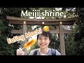 [Meiji Shrine] Found so good and cheap Dango (Mochi)!! Got the power of nature in Tokyo!! #135