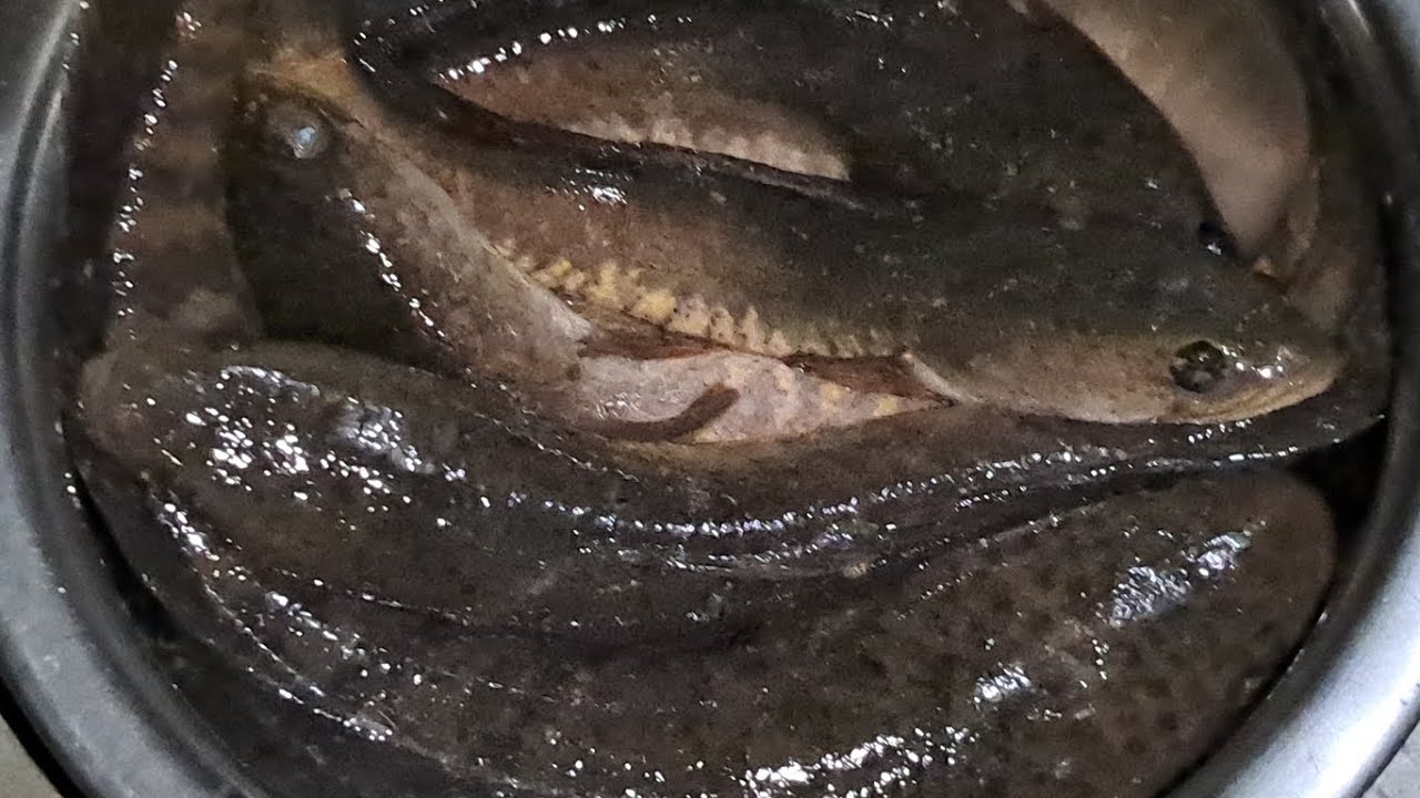 गरई मछली बनाएं बिल्कुल देसी तरीके से