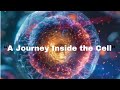 Cell Structure Made Easy – The Building Blocks of Life!”