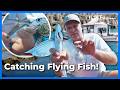 Racing Flying Fish Across the Open Sea | Ep.66 | Happy Fisherman
