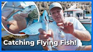 Racing Flying Fish Across the Open Sea | Ep.66 | Happy Fisherman